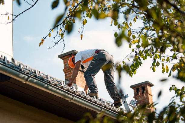 Best Commercial Roofing Services  in Mars Hill, NC
