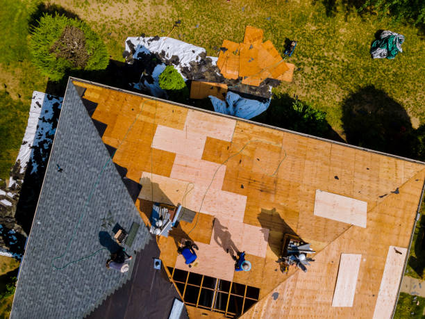 Best Roof Leak Repair  in Mars Hill, NC