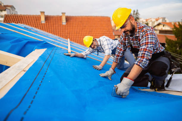 Best Roof Restoration Services  in Mars Hill, NC