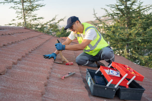 Best Gutter Installation and Roofing  in Mars Hill, NC